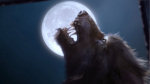 Werewolf