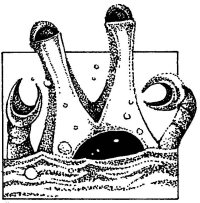 [Pool Cleaner Robot]