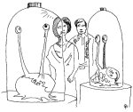 [Barbara, Ian and Morphoton Brains]
